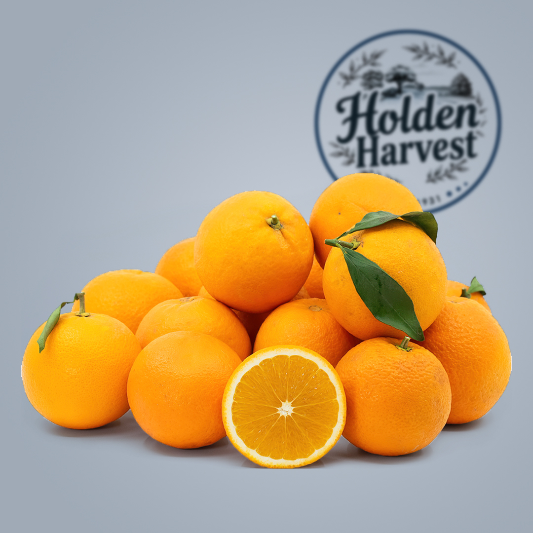 Oranges1